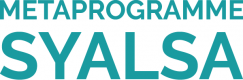 Metaprogramme SYALSA